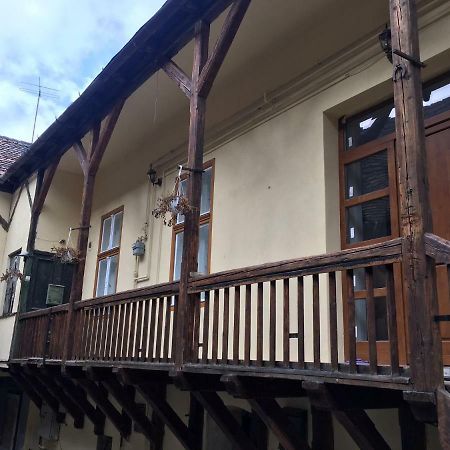 Anastasia Medgyes Kültér fotó